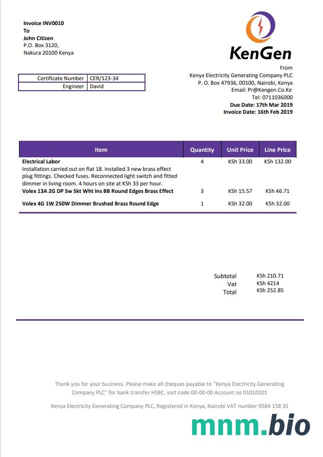 Kenya Kengen Electricity Generating Firma rachunek za media szablon w formacie Word i PDF
